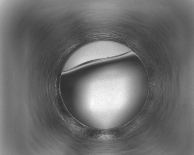 X0000060800360200511171248