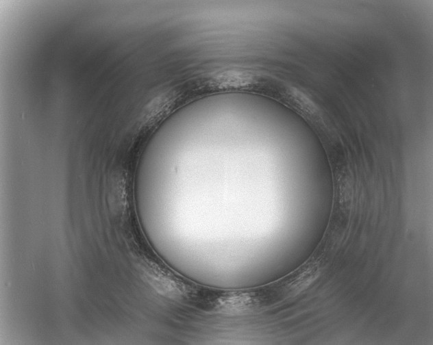 X0000060800362200511171248