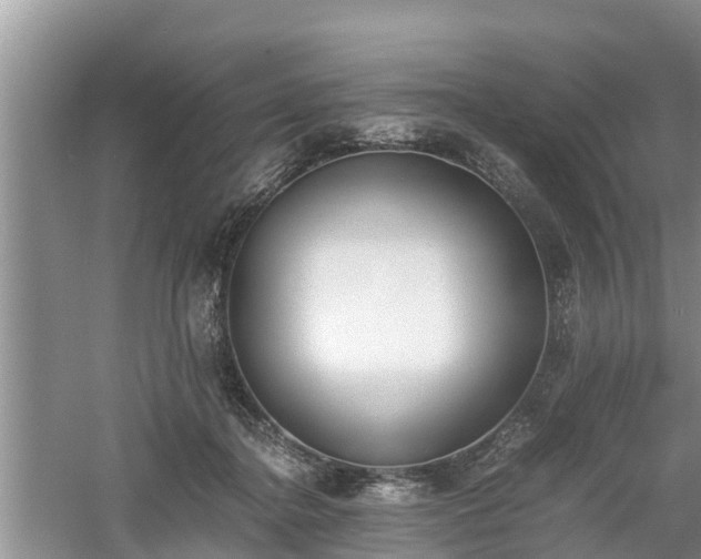 X0000060800364200511171248