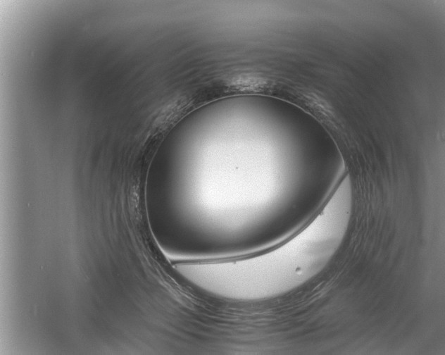 X0000060800365200511171248