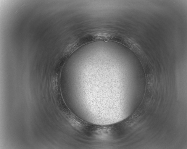 X0000060800369200511171248