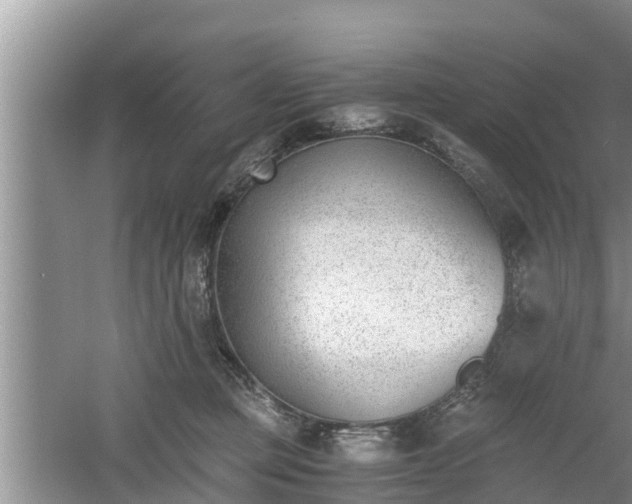 X0000060800373200511171248