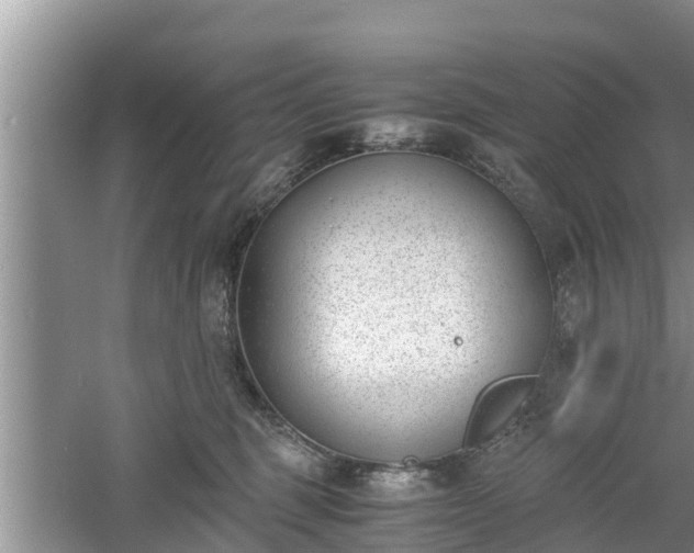 X0000060800375200511171248