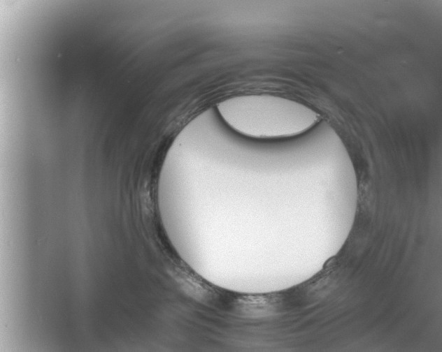 X0000060800381200511171248