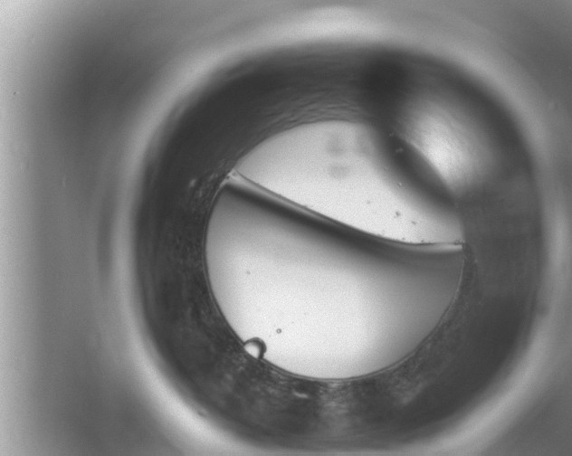 X0000060800382200511171248