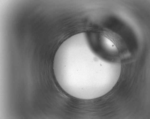 X0000060800383200511171248