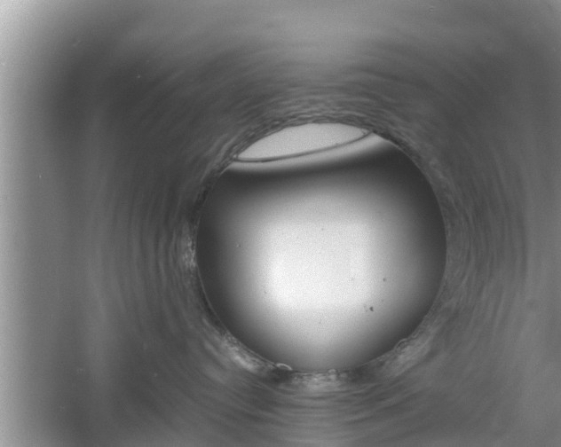 X0000060800384200511171248