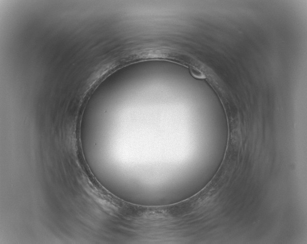 X0000060800386200511171247