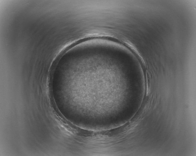 X0000060800387200511171247