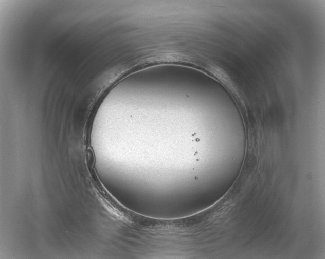 X0000060800389200511171247