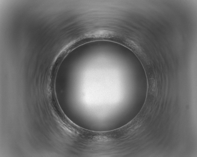 X0000060800392200511171247