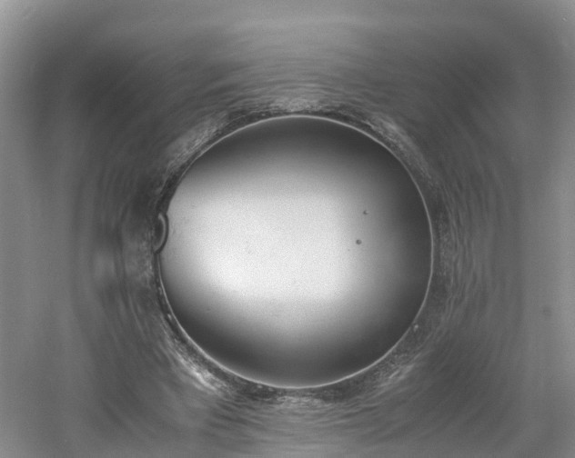 X0000060800393200511171247