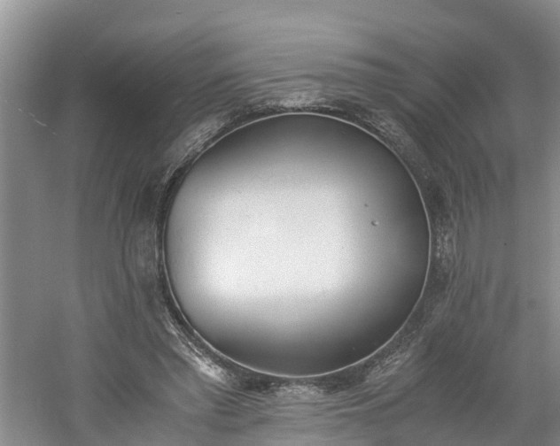 X0000060800397200511171247