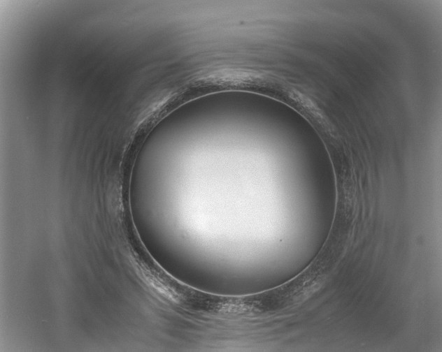 X0000060800399200511171247