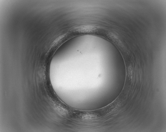 X0000060800400200511171247