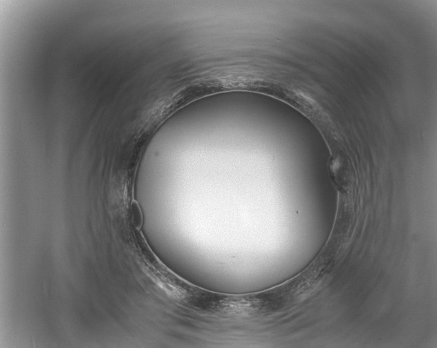 X0000060800405200511171247