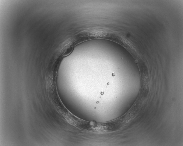 X0000060800407200511171247