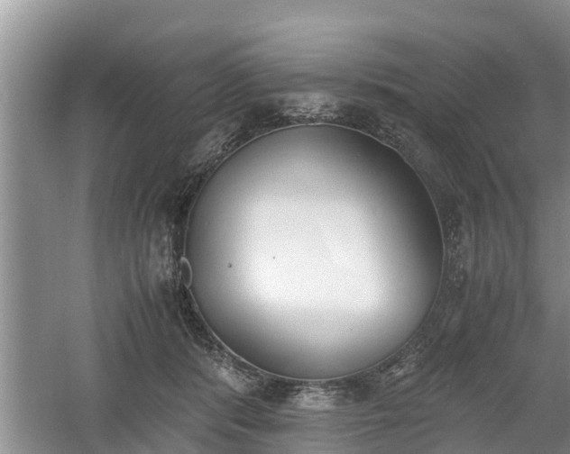 X0000060800416200511171247