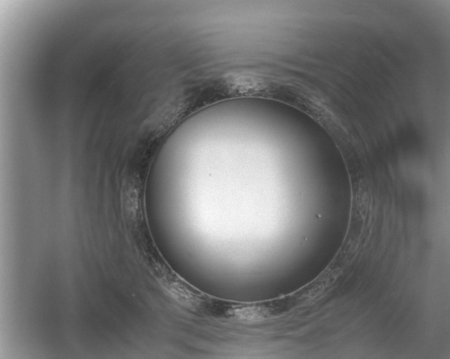 X0000060800417200511171247