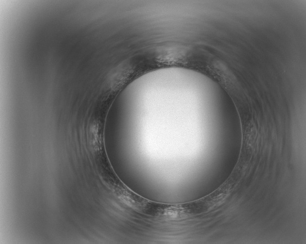 X0000060800420200511171247