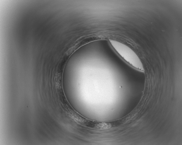 X0000060800421200511171247