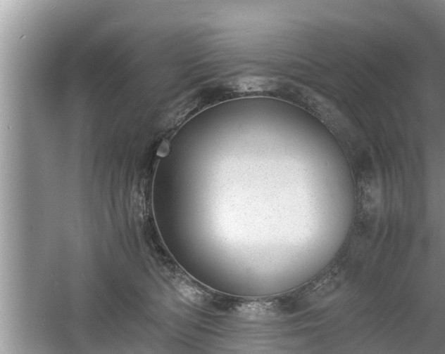 X0000060800422200511171247