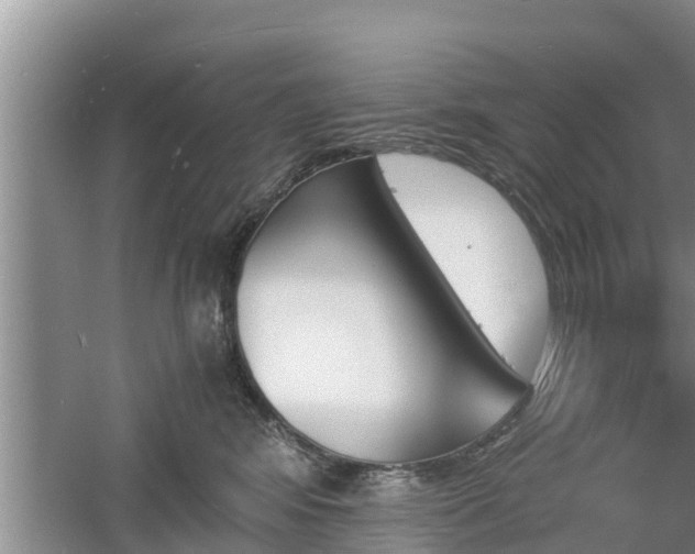 X0000060800424200511171247