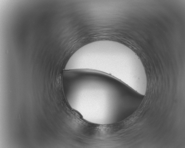 X0000060800425200511171246