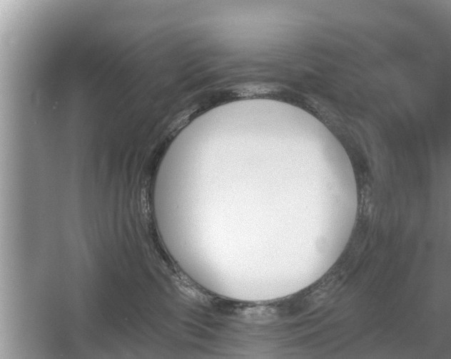 X0000060800426200511171246