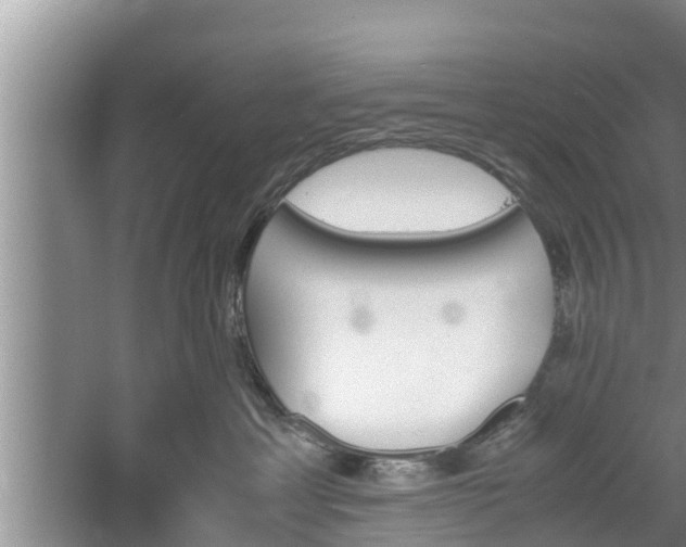 X0000060800429200511171246