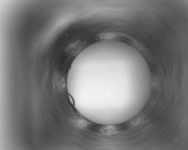 X0000060800431200511171246