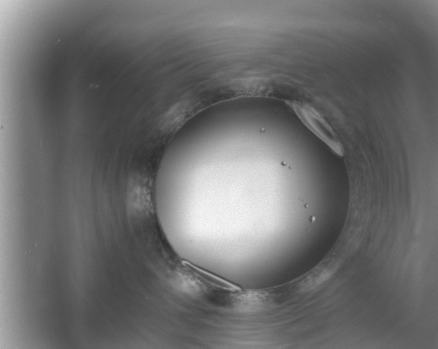 X0000060800432200511171246