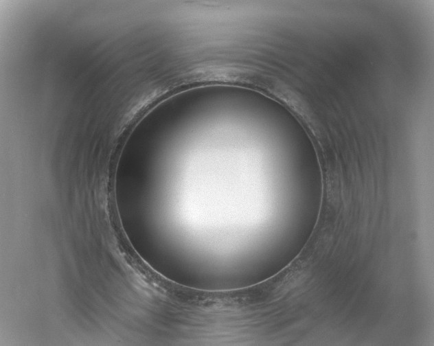 X0000060800434200511171246