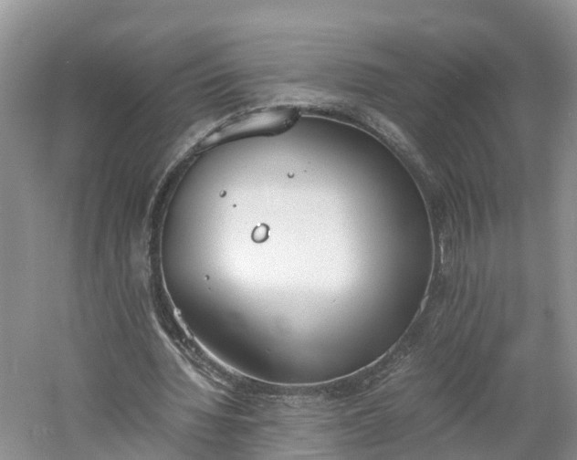 X0000060800436200511171246