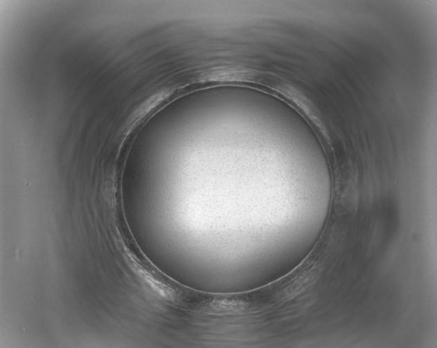 X0000060800437200511171246