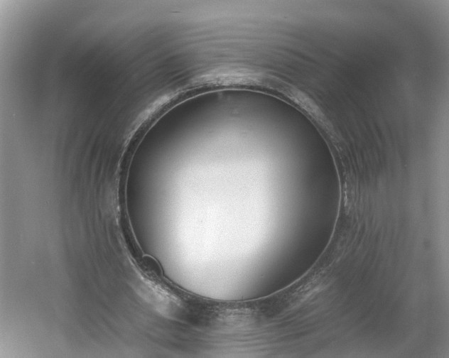 X0000060800438200511171246