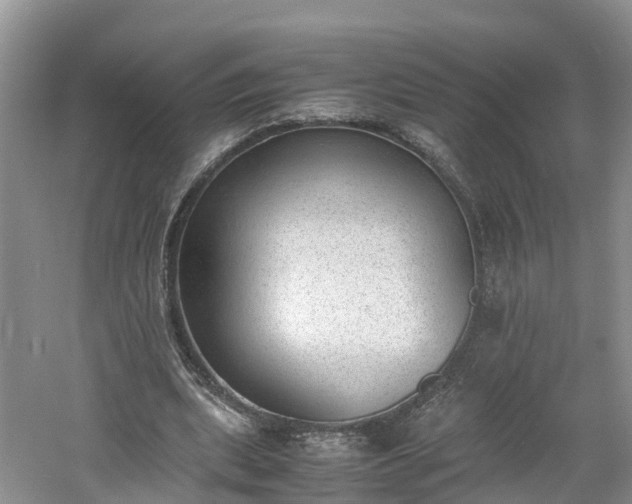 X0000060800439200511171246