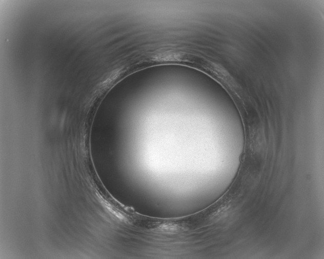 X0000060800441200511171246