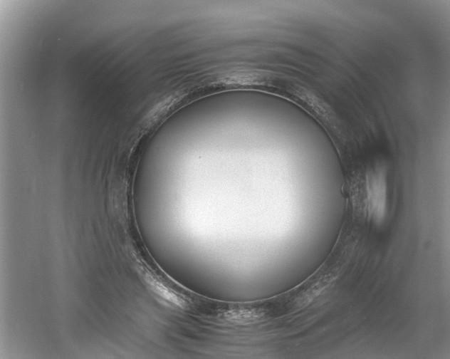 X0000060800445200511171246