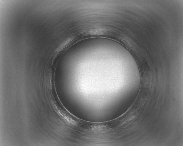 X0000060800446200511171246