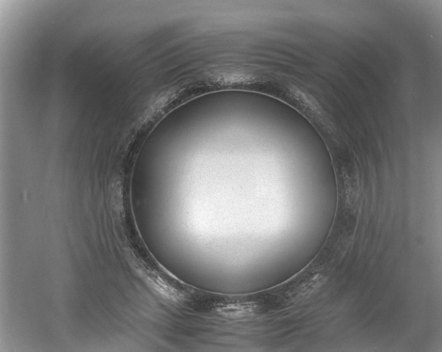 X0000060800447200511171246