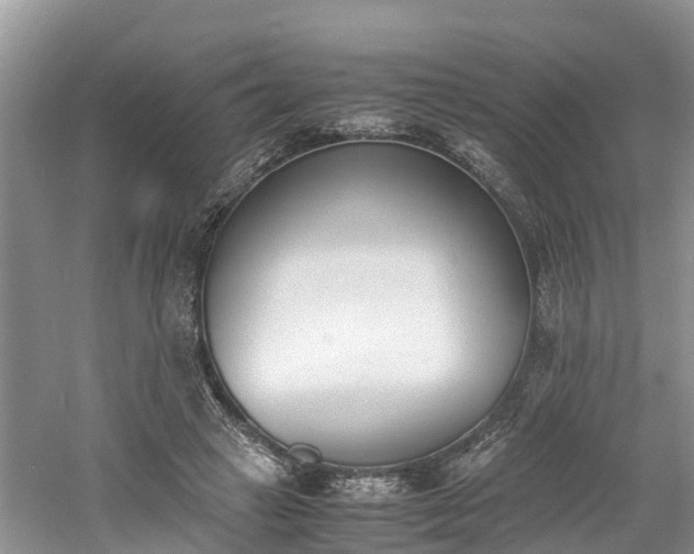 X0000060800449200511171246