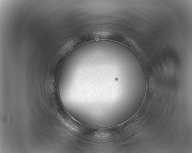 X0000060800451200511171246