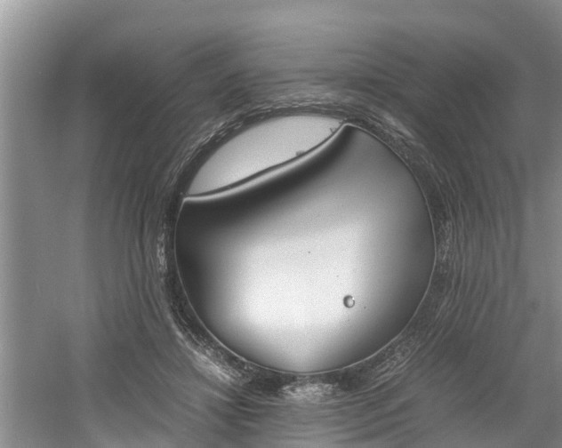 X0000060800452200511171246