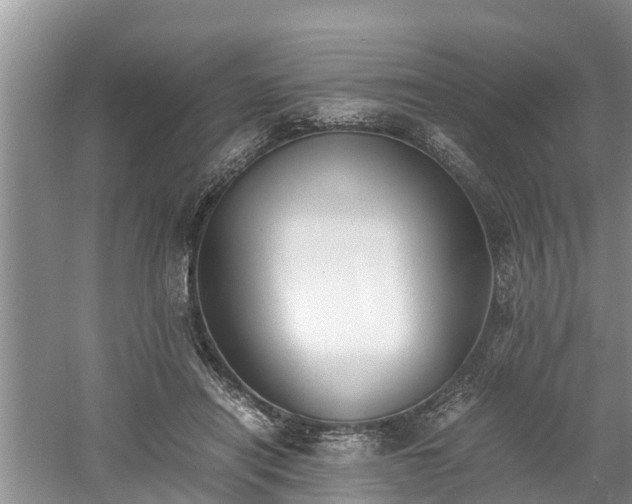 X0000060800454200511171246