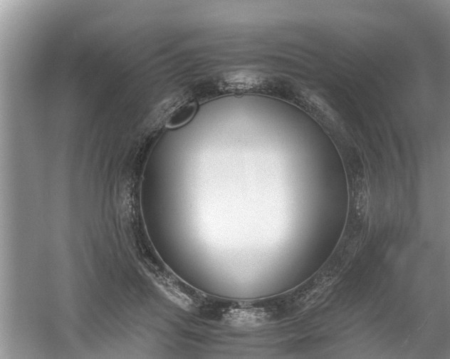 X0000060800455200511171246