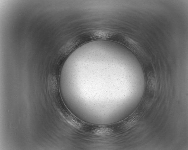 X0000060800459200511171246