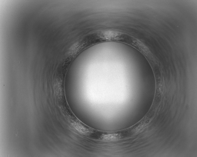 X0000060800461200511171246