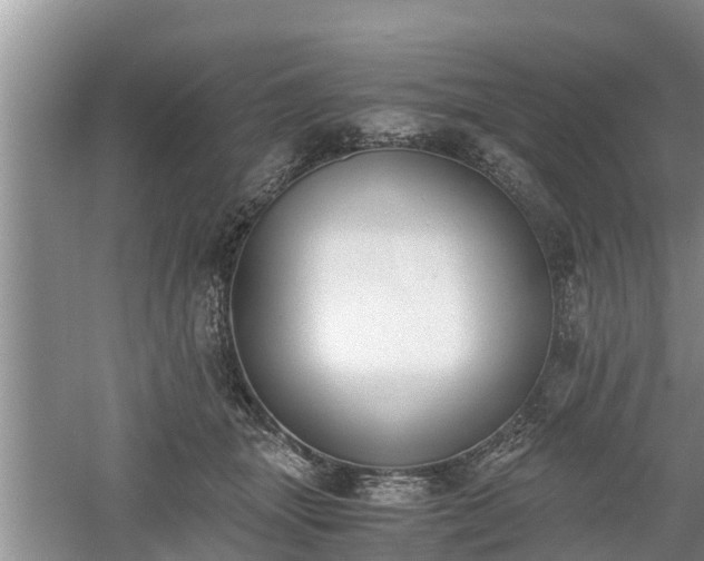 X0000060800463200511171246