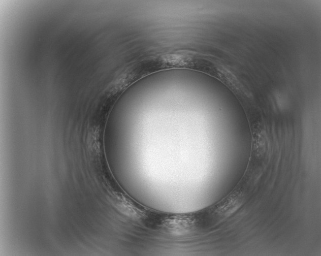 X0000060800466200511171246